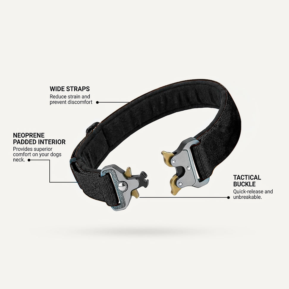 Tactical Dog Collar