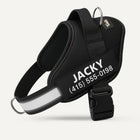 Tailo® No Pull Harness