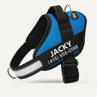 Tailo® No Pull Harness