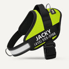 Tailo® No Pull Harness