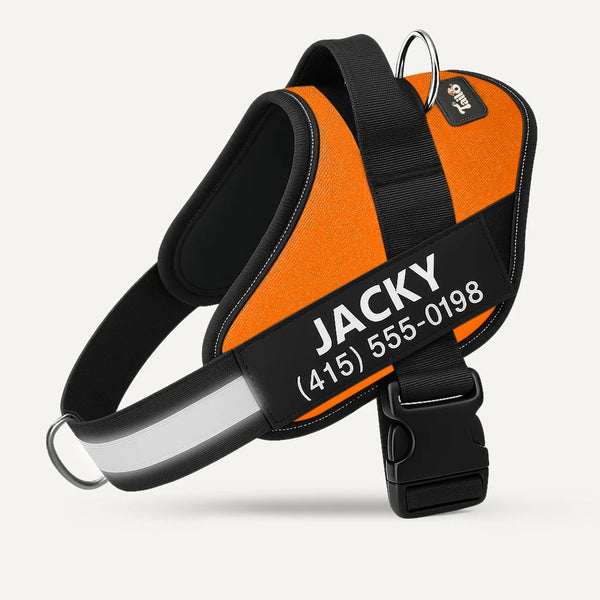 Tailo® No Pull Harness