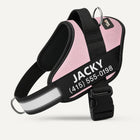 Tailo® No Pull Harness