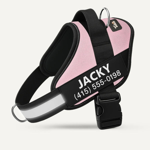 Tailo® No Pull Harness