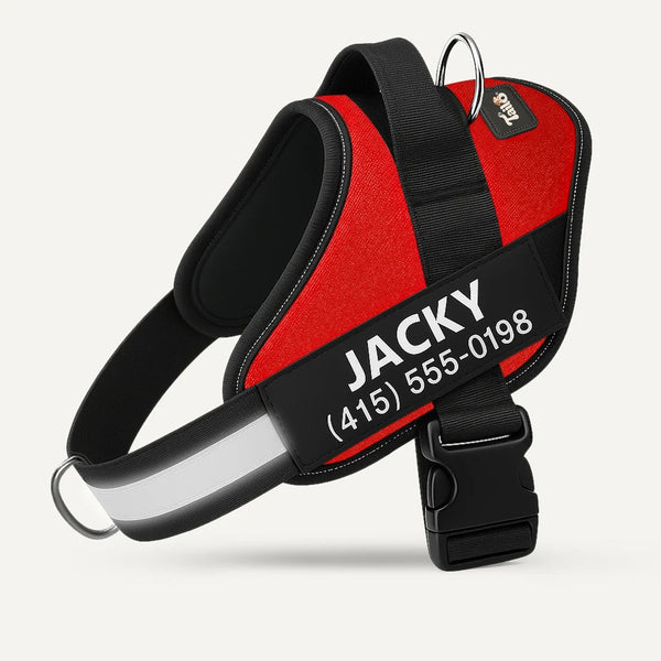 Tailo® No Pull Harness