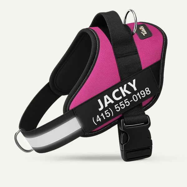 Tailo® No Pull Harness