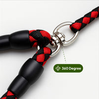 Double Leash — Walk Two Dogs, One Leash