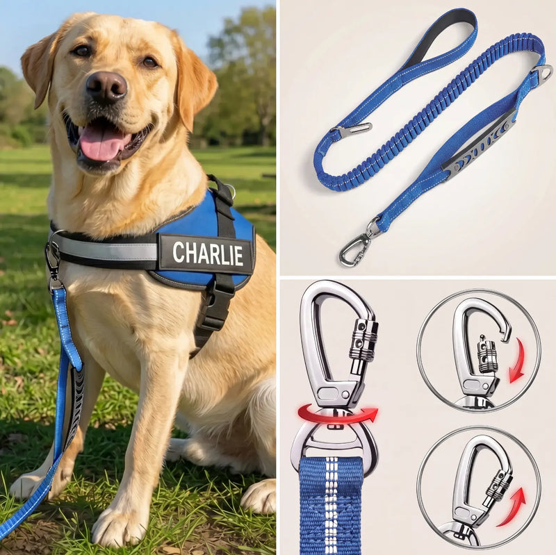 Got a strong puller? Add the bungee leash