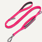 Bungee Leash