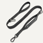 Bungee Leash