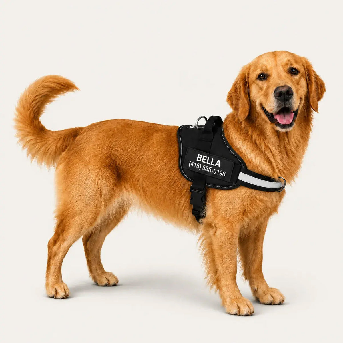 Tailo® No Pull Harness