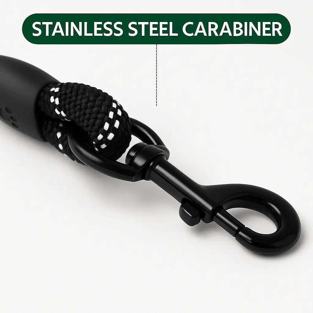 Reflective Nylon Leash